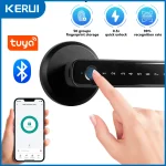 Tuya Smart Fingerprint Door Lock Electronic Door